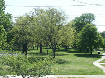 views of Goodale Park from